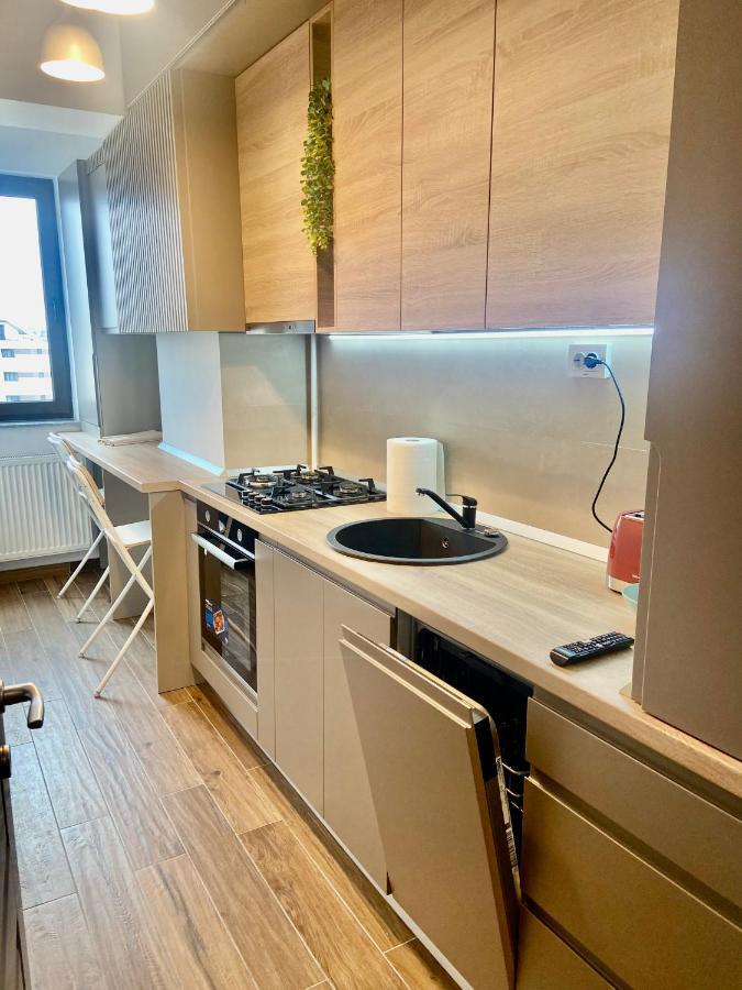 Lazar Loft Apartment Iasi Exterior photo